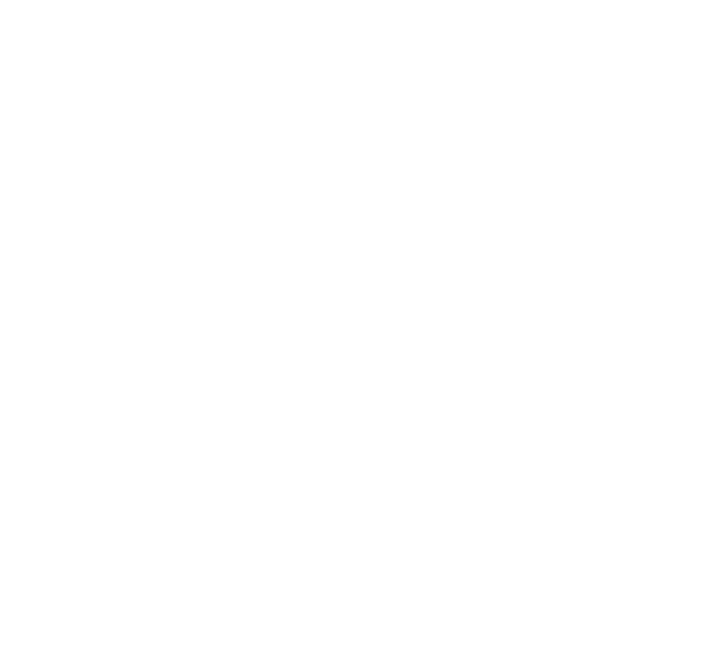 BLTA — Brazilian Luxury Travel Association